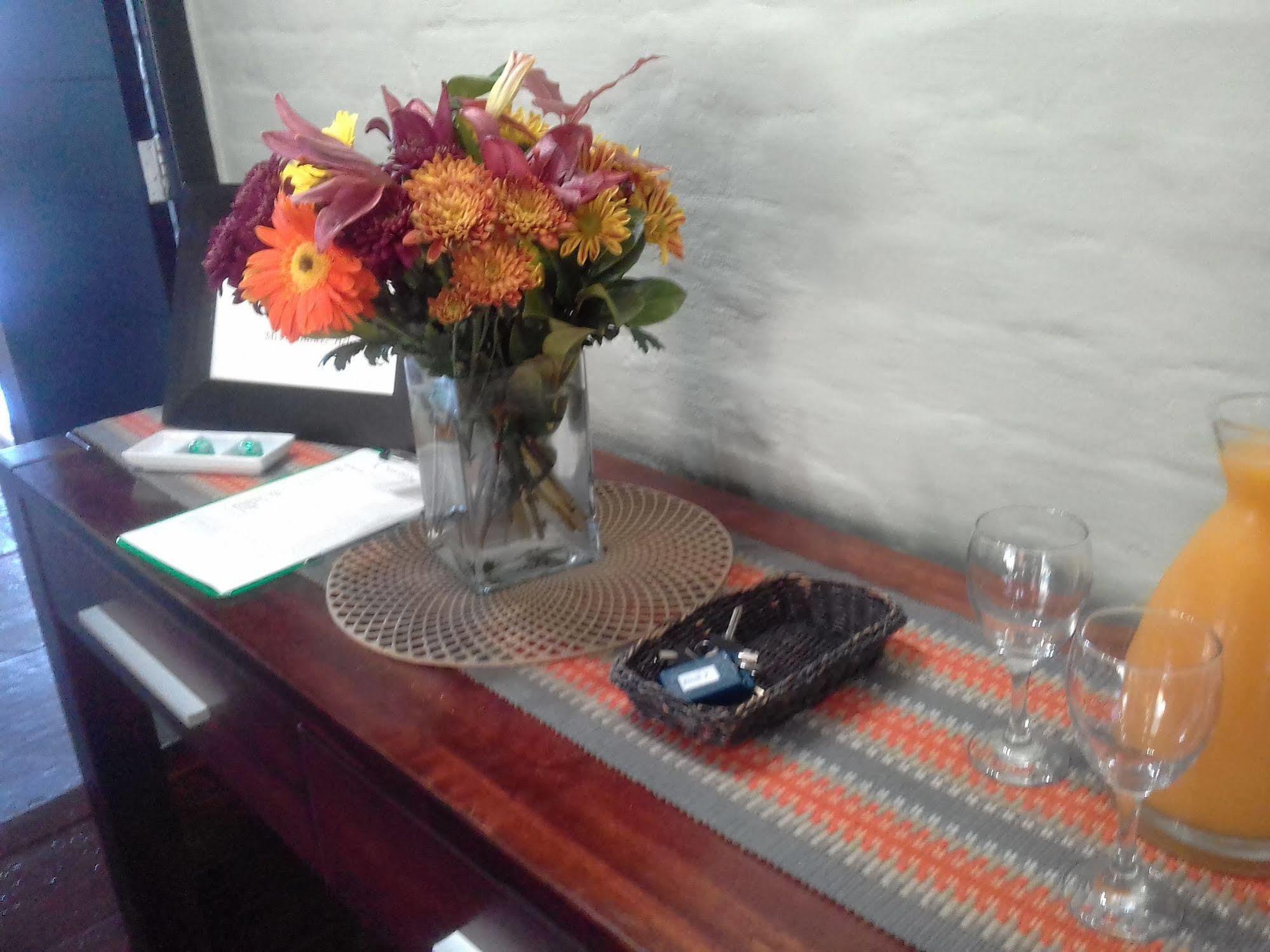 Sirius Lodge Knysna Extérieur photo